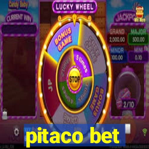 pitaco bet